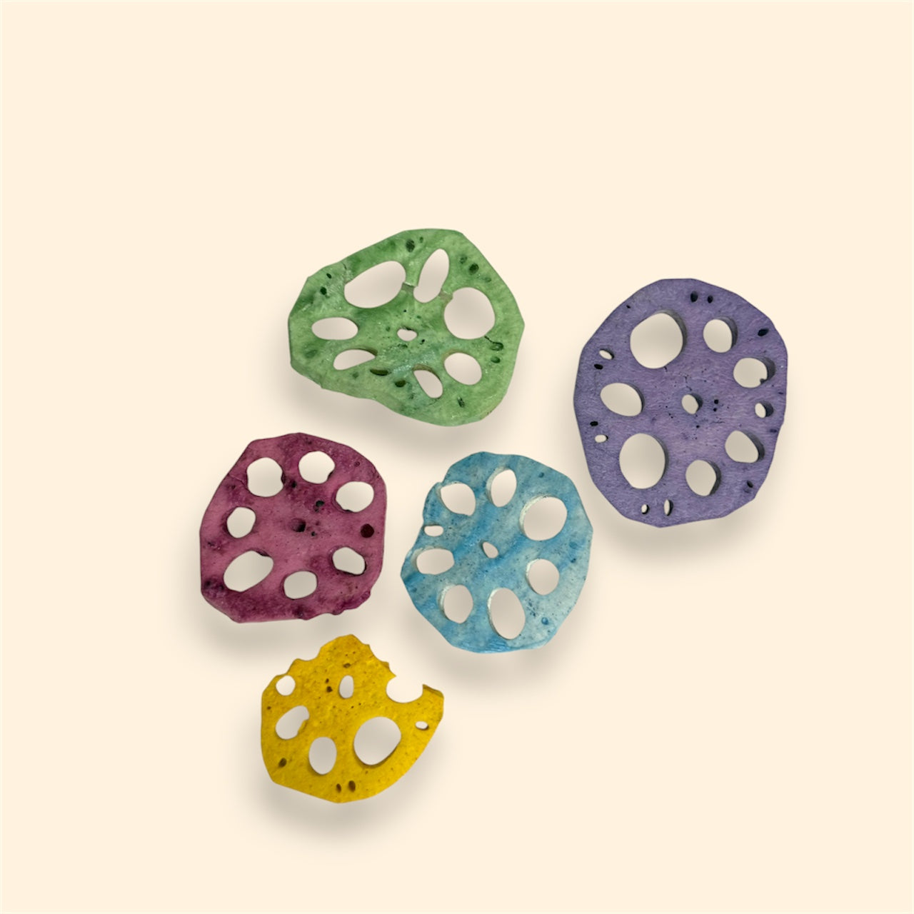 Freeze Dried Rainbow Lotus Root