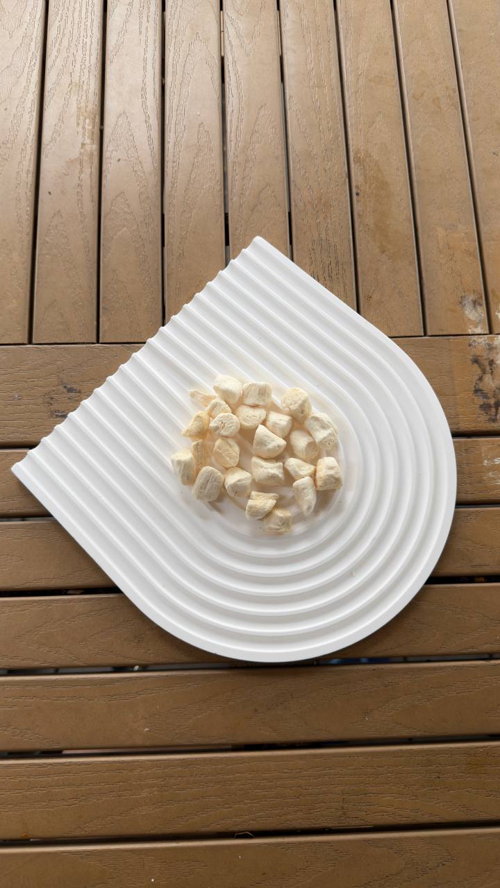 Bay Scallops