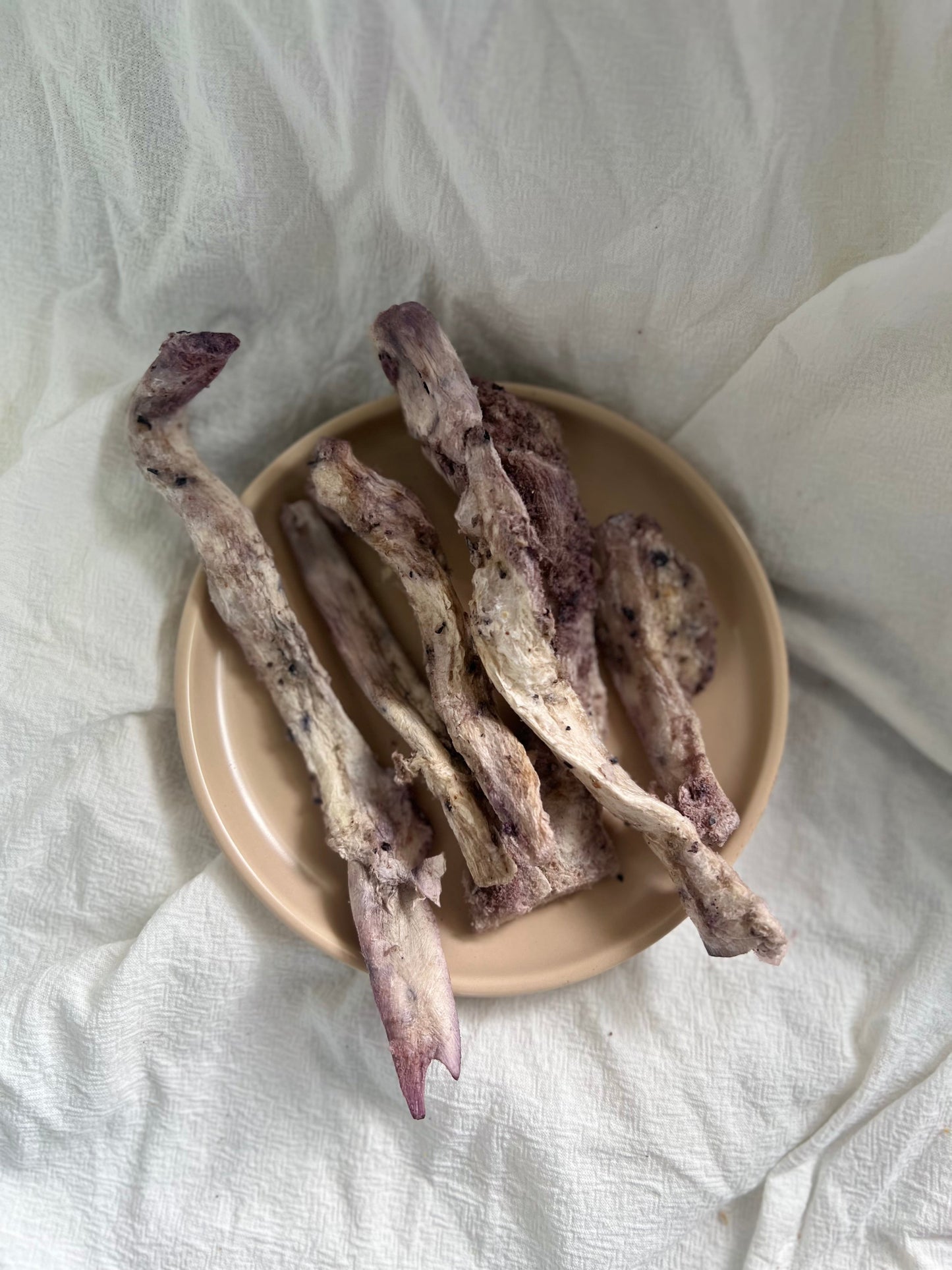 Blueberry & Strawberry Beef Tendons