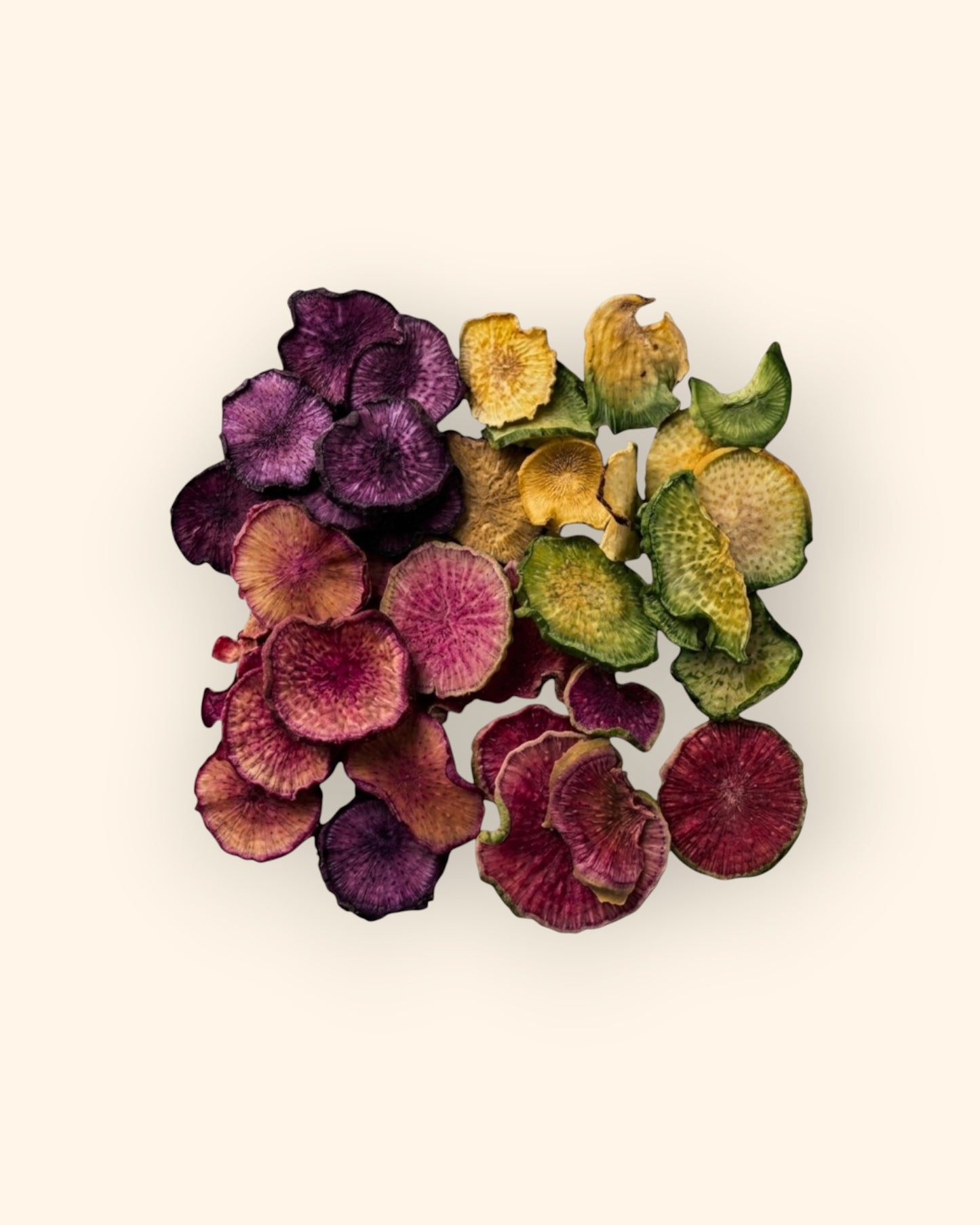 Dehydrated Rainbow Radish