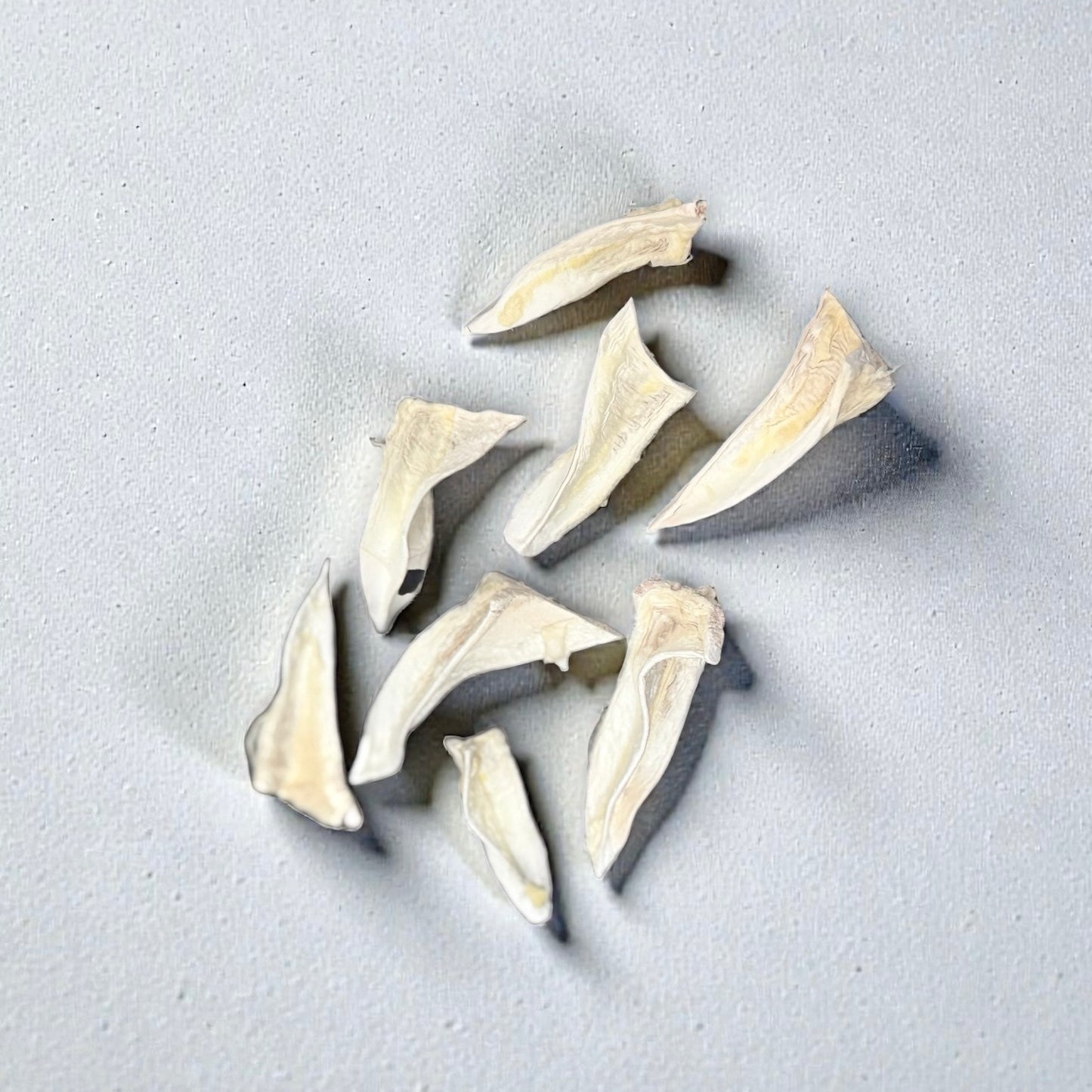 Freeze Dried Chicken Cartilage