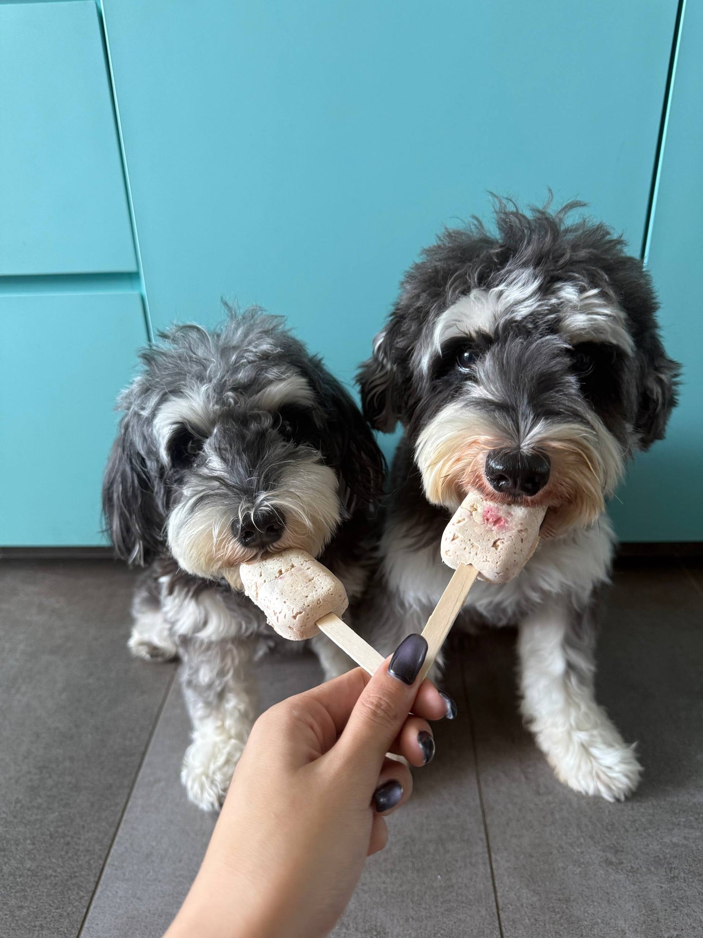 WHAT IF: Strawberry Durian Popsicles