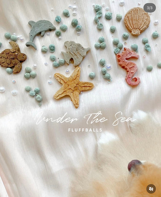 Under The Sea