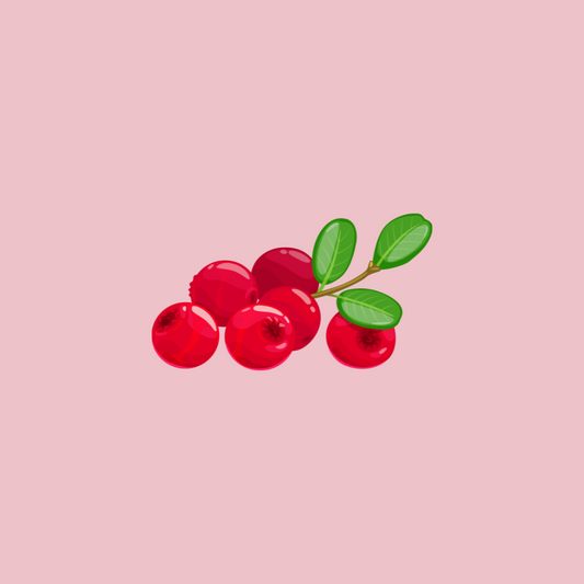 Cranberry Jerky
